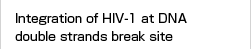 Integration of HIV-1 at DNA double strands break site class=